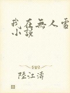我在无人处爱你小说