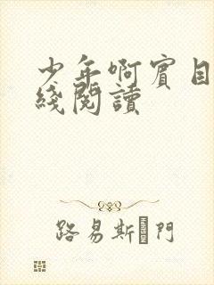 少年啊宾目录在线阅读