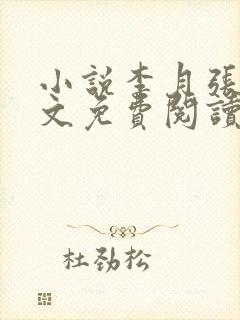 小说李月张勇全文免费阅读