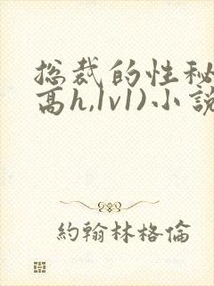 总裁的性秘书(高h,1v1)小说