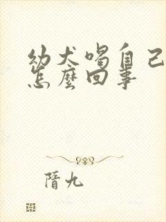 幼犬喝自己的尿怎么回事