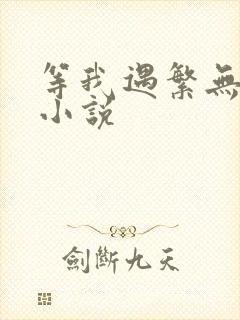 等我遇繁无删减小说