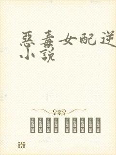 恶毒女配逆袭 小说
