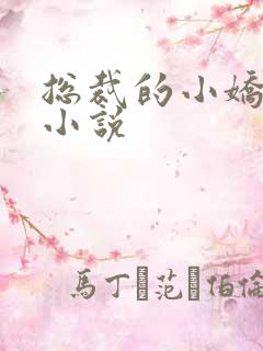 总裁的小娇妻 小说