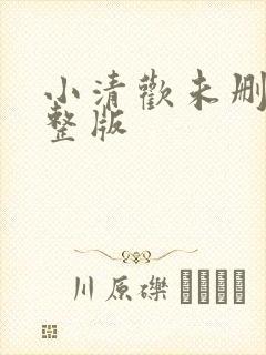 小清欢未删减完整版