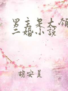 男主是大领导的二婚小说