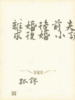 离婚后前夫哭着求复婚 小说阅读