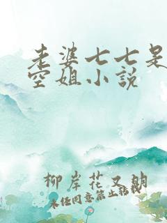 老婆七七是一名空姐小说