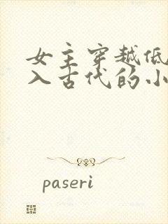 女主穿越低调融入古代的小说