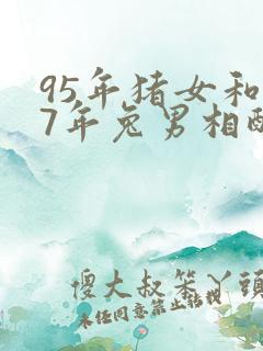 95年猪女和87年兔男相配吗