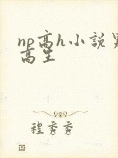 np高h小说男高生
