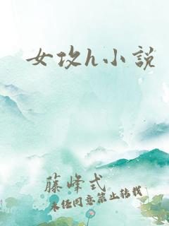 女攻h小说