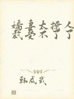 娇妻太撩人,总裁受不了了小说