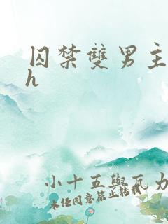 囚禁双男主小说h