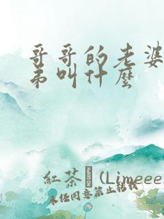 哥哥的老婆的弟弟叫什么