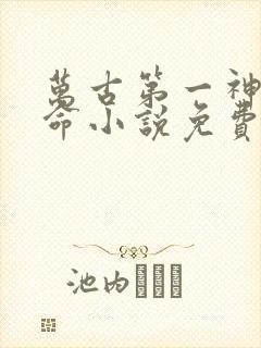 万古第一神李天命小说免费