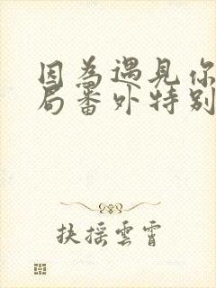 因为遇见你大结局番外特别版