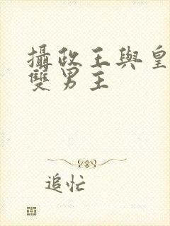 摄政王与皇上的双男主