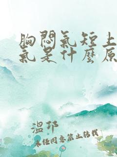 胸闷气短上不来气是什么原因