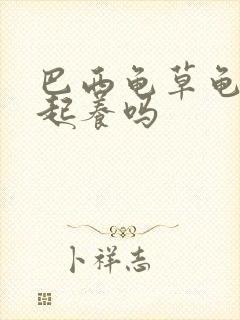 巴西龟草龟能一起养吗