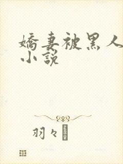 娇妻被黑人征服小说