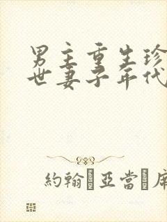 男主重生珍惜前世妻子年代文