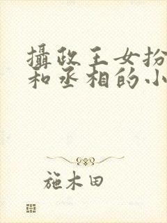 摄政王女扮男装和丞相的小说