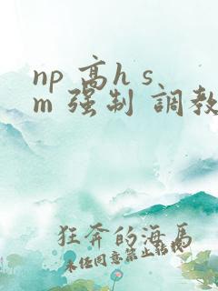np 高h sm 强制 调教