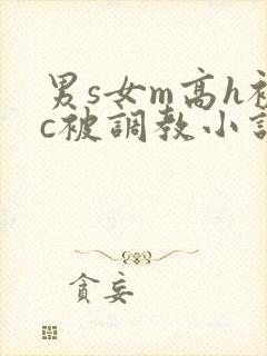 男s女m高h被c被调教小说