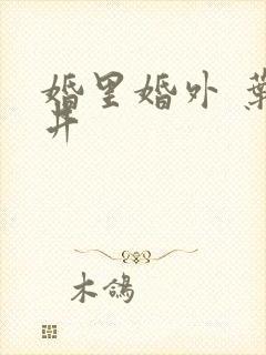 婚里婚外 叶晓井