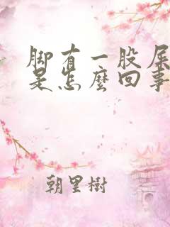 脚有一股屎臭味是怎么回事