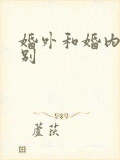 婚外和婚内的区别