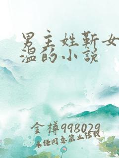 男主姓靳女主姓温的小说