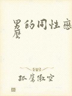 男的同性恋叫什么