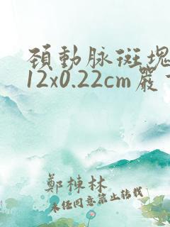颈动脉斑块1.12x0.22cm严重吗