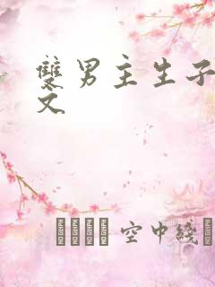 双男主生子完结文