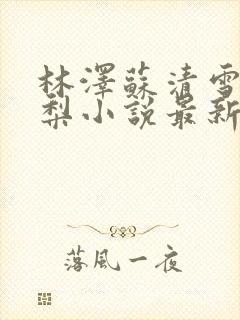 林泽苏清雪沈甜梨小说最新章节