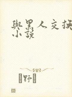 与黑人交换女友小说