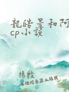 龙皓晨和阿宝的cp小说