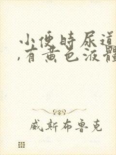 小便时尿道刺痛,有黄色液体