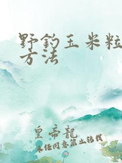 野钓玉米粒制作方法