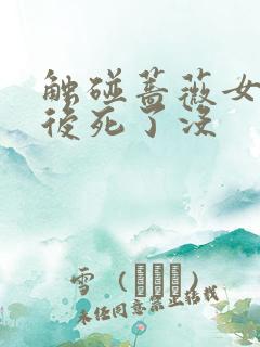 触碰蔷薇女主最后死了没