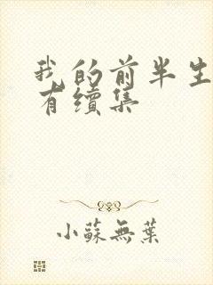 我的前半生有没有续集