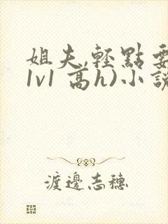 姐夫,轻点要(1v1 高h)小说