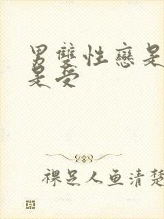 男双性恋是攻还是受