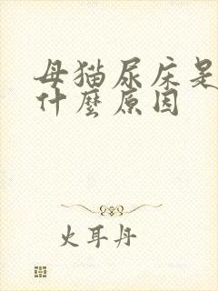 母猫尿床是因为什么原因