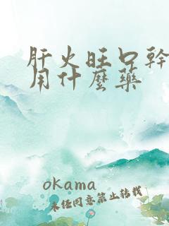 肝火旺口干口苦用什么药