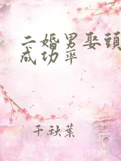 二婚男娶头婚女成功率