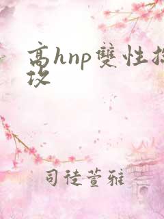 高hnp双性总攻