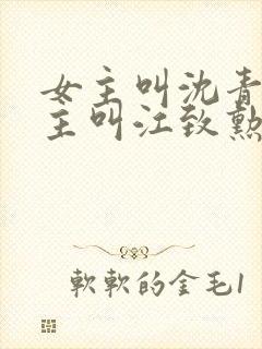 女主叫沈青青男主叫江致勋的小说